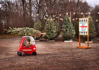 Spreading Holiday Cheer While Staying Protected This Christmas