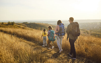 Independent Insurance vs. Big-Brand Agencies